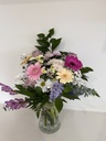 Gerbera