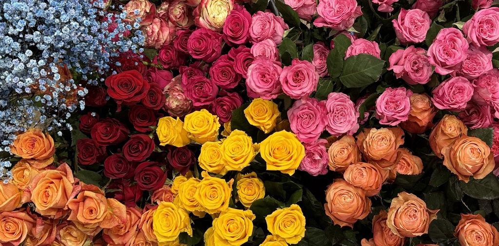 Rose Bouquet - Designer's Choice