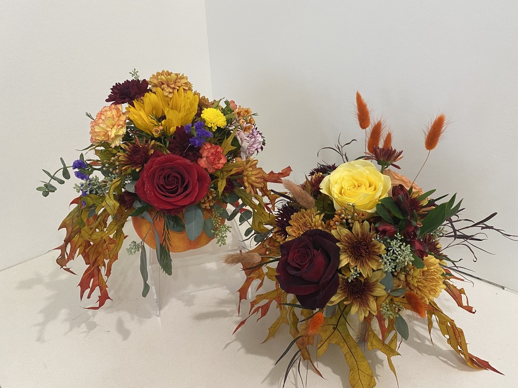 Pumpkin - Fall Color