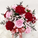 Carnation Bouquet Dozen - mixed color