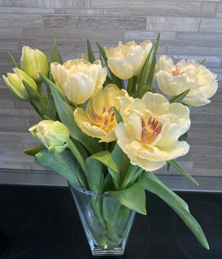 Novelty Tulip Arrangment