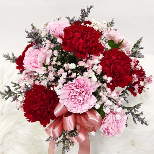 Carnation Dozen - mixed color