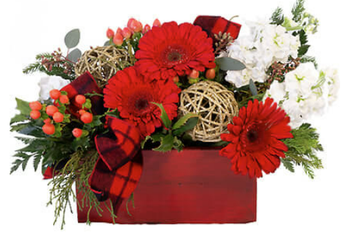 [XMAS - Blitzen-Blossom] Blitzen's Blossom Box